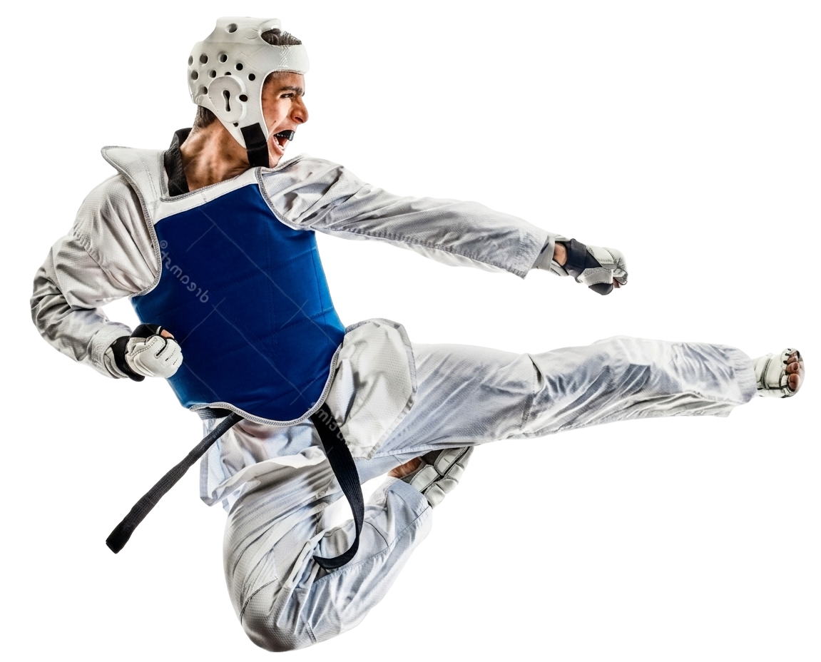 Dynamic Taekwondo Kick